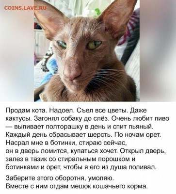 делает - прямо сейчас !!! - EEHjZsxwu6w