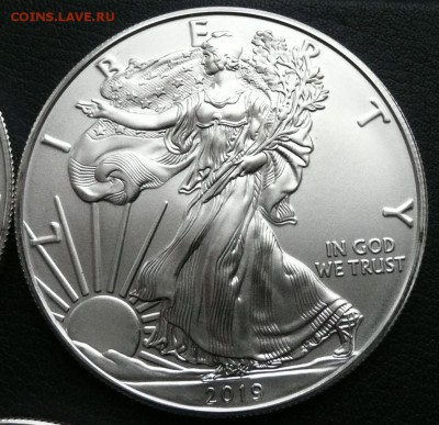 1 доллар США 2019г. Шагающая свобода 1 унция Ag - 1600 - 3.JPG