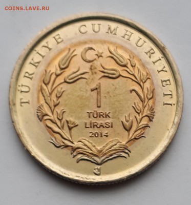 1 лира 2014 Турция  Ушастый Ёж   до 2.04.19 в 22.00мск - 20190319_175033-1033x1108