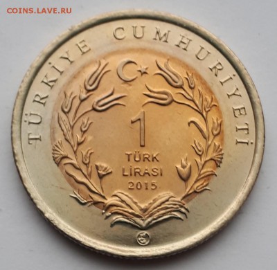 1 лира 2015 Турция  Варан   до 2.04.19 в 22.00мск - 20190319_174747-1033x1008