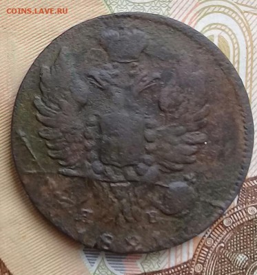 1 коп 1821 им яв, до 01.04. - 20190329_135913