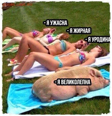 юмор - C1Vyg14MDqc