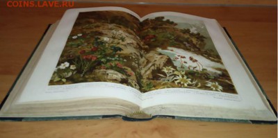 Большая энциклопедия, 1896 г, том 1 - ОЦЕНКА - Снимок 4.JPG
