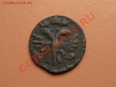 Полушка1720г Петр1, С рубля, до 20.06.2011г 20-00мск - !!! !!!! !!!!!!!!!!!!!!!!!!!!!!!!!!!!!!!!!!!!! 003