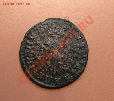 Полушка Петр1 Большая1707г, до 21.06.2011г 20-00мск - !!! !!!! !!!!!!!!!!!!!!!!!!!!!!!!!!!!!!!!!!!!! 003