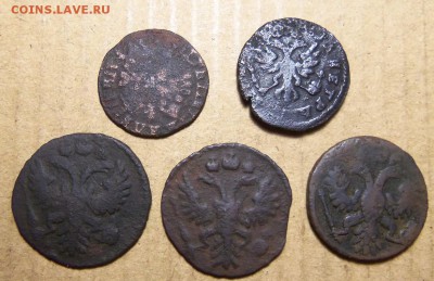 Полушки , денга 1707-1735 г.,До 01.04.2019 г.,22:00мск. - 101_4262.JPG