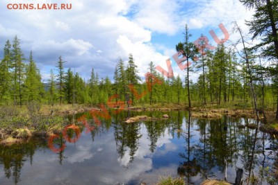 ФОТО - просто фото. Те что получились удачными. - DSC_0703.JPG