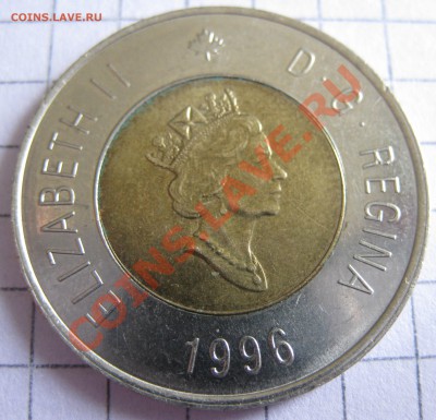 Канада БИМ 2 доллара 1996 Белый медведь  до  21.06 в 23:00 - IMG_1740.JPG