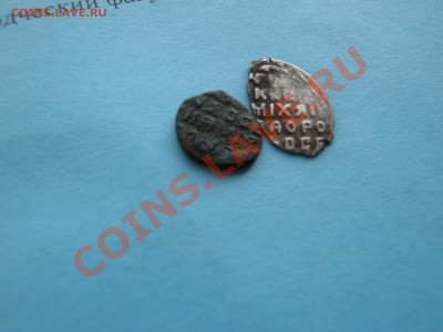 помогите определить 2 чешуйки - IMG_0195.JPG