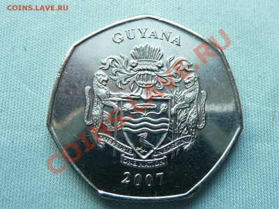 ГАЙАНА 10$, чел моет золото  до 23.06.11 в 22-00 - MEMO0022.JPG