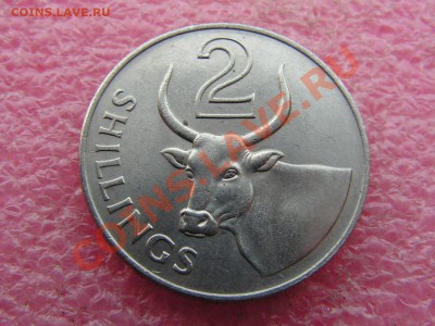 -Гамбия- 2 шиллинга 1966 -- 20 июня 22-00 - PICT0695.JPG