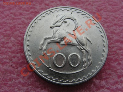 -Кипр- 100 милс 1981 -- 20 июня 22-00 - PICT0723.JPG