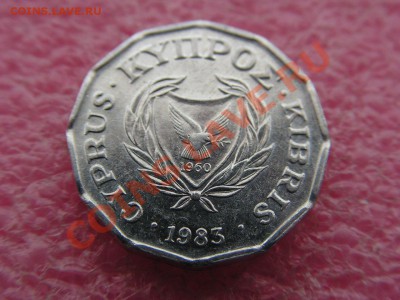 2 цента 1983 -- 20 июня 22-00 - PICT0742.JPG
