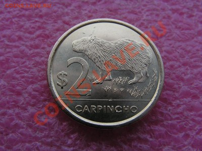 -Уругвай- 2 песо 2011 -- 20 июня 22-00 - PICT0709.JPG