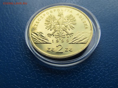 2 злотых Ёж и Волки оригинал? копия? - IMG_4377.JPG