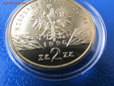 2 злотых Ёж и Волки оригинал? копия? - IMG_4372.JPG