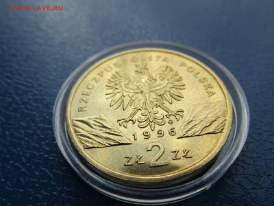 2 злотых Ёж и Волки оригинал? копия? - IMG_4371.JPG
