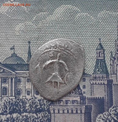 Чешуйка 1 тверь.  2  ? - 20190404_085724