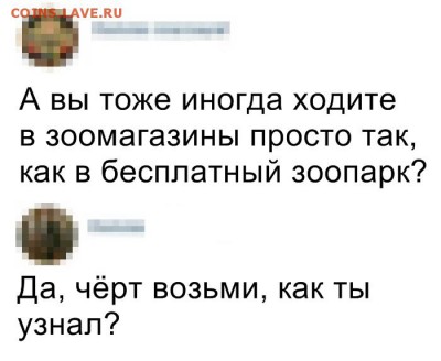 юмор - K3XFydBA400