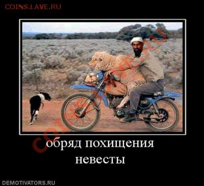 юмор - 825882_obryad-pohischeniya-nevestyi