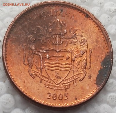 Гайана 1 доллар 2005 до 09.04.19 - 24