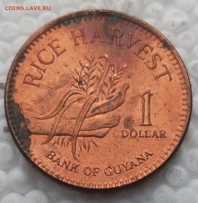 Гайана 1 доллар 2005 до 09.04.19 - 23