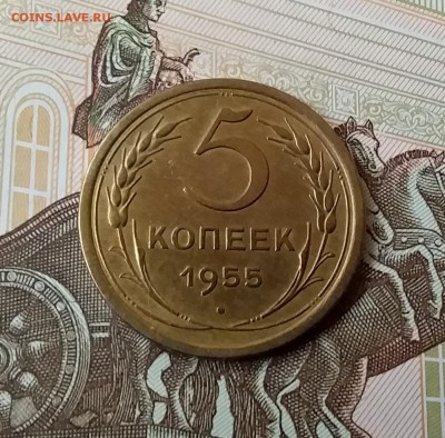 5 копеек 1955. До 10.04.19 в 22.00 - 20190405_151829