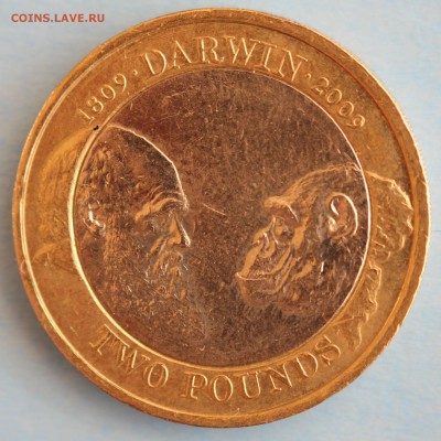 БРИТАНИЯ 2 фунта 2009г. ДВЕ ОБЕЗЬЯНЫ  до 11.04 в 22-00 - IMG_7195.JPG