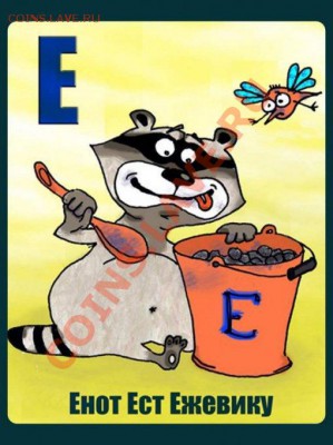 ФАНАТЫ ЕНОТОВ СОБИРАЮТСЯ ЗДЕСЬ!!! - Енот есть ежевику