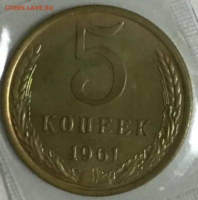5 копеек 1961 - 8 стеблей, мешковая 11.04 22:00 - 48BCDF9F-EB4A-4732-BE59-820E6D7F47BC