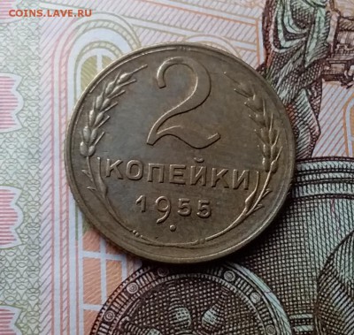 2 копейки 1955. До 10.04.19 в 22.00 - 20190406_153435
