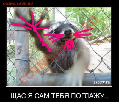 ФАНАТЫ ЕНОТОВ СОБИРАЮТСЯ ЗДЕСЬ!!! - без коментариев.JPG