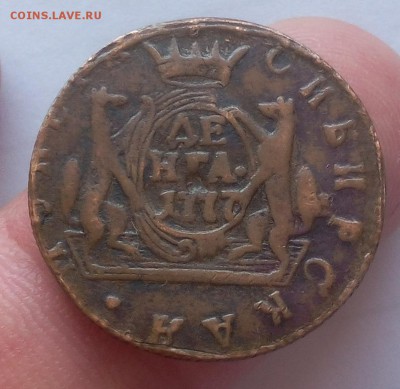 ДЕНГА. 1777г Сибирская (коричневая) до 08.04.19 - IMG_20100127_005507.JPG