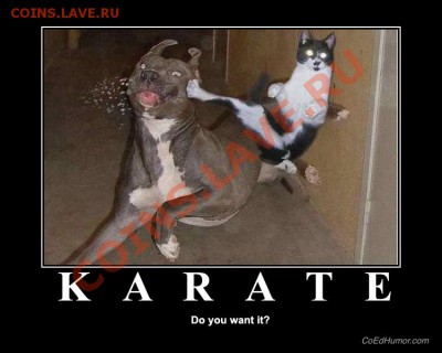 юмор - karate
