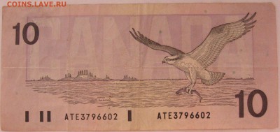 Канада 10 долларов.птицы. - IMG_6863 (2).JPG