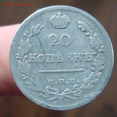 ПД.До 9.04 в 22.00 мск - 15