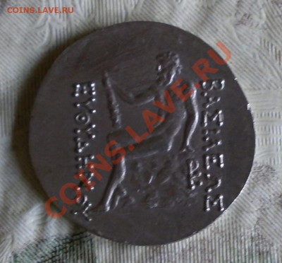Помогите опознать - P6190035.JPG