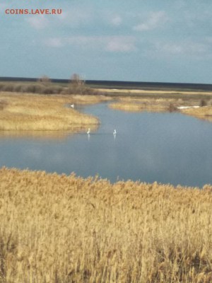 3 копейки 1927 г. - IMG_20190407_172357