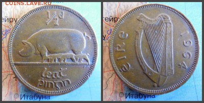 Ирландия ½ пенни, 1964 - 14