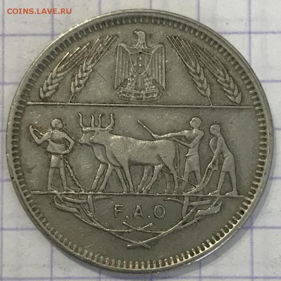 Арабские монеты - FFC90C82-4725-43D0-94E9-882A0EF88E09
