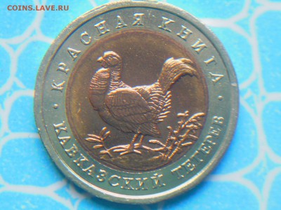 50руб 93г Красная книга" Тетерев" 12.04. 19 - DSCN4992.JPG