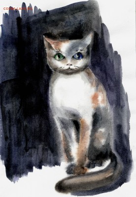 Книга "Кошка с разноцветными глазами" 12-04-2019 - 01-Katty.JPG