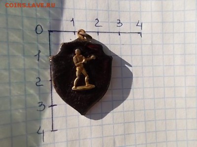 Призовой жетон - DSCN0142.JPG