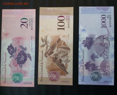 Венесуэла 2011-17гг 2-10000 боливаров UNC Фикс - IMG_20180909_224723