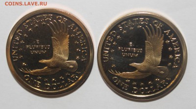 1$ годовики Индианка 2004+2005 - с 200р до 12.04 22:00 мск - IMG_4019.JPG