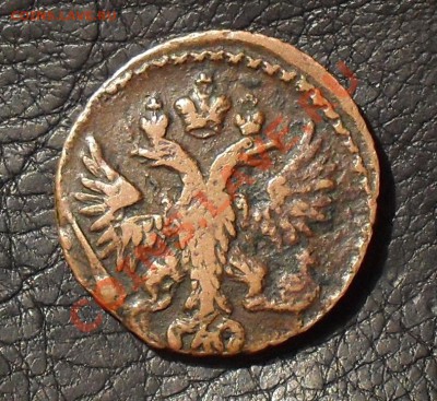 Полушка 1749 года. Очень хорошая, жёлтая! До 24.06.11 г. - SDC16276.JPG