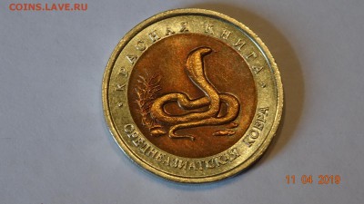 Красная книга: 10р 1992г. Среднеазиатская кобра, до16.04 - DSC03146.JPG