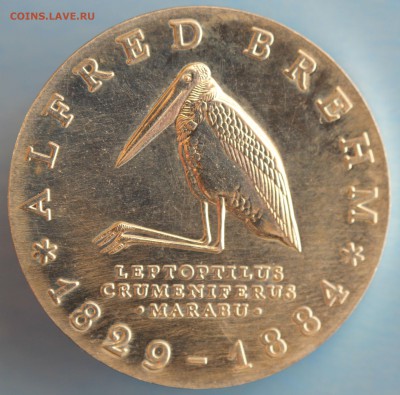 С РУБ.ГДР 10 марк 1984г. АЛЬФРЕД ЭДМУНД БРЕМ  до 18.04 - IMG_7118.JPG