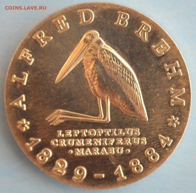 С РУБ.ГДР 10 марк 1984г. АЛЬФРЕД ЭДМУНД БРЕМ  до 18.04 - IMG_7116.JPG