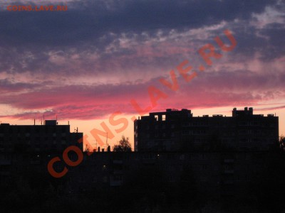 ФОТО - просто фото. Те что получились удачными. - IMG_3440.JPG